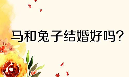 马和兔子结婚好吗?