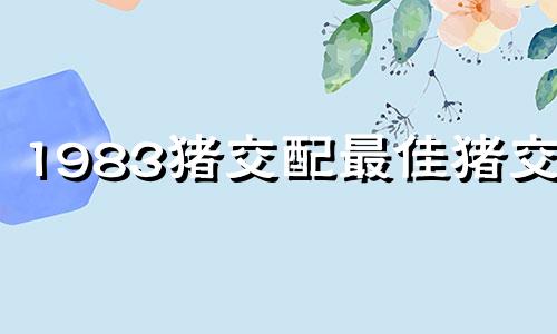 1983猪交配最佳猪交配