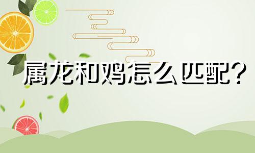 属龙和鸡怎么匹配?