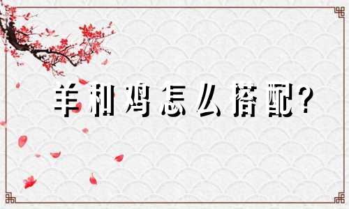 羊和鸡怎么搭配?