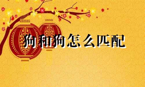 狗和狗怎么匹配