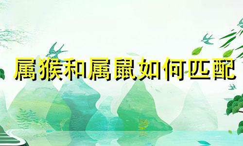 属猴和属鼠如何匹配