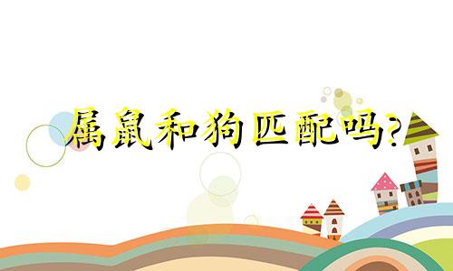 属鼠和狗匹配吗?
