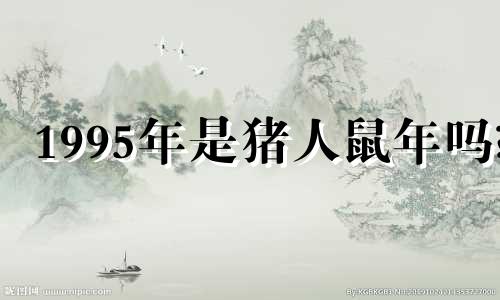 1995年是猪人鼠年吗?