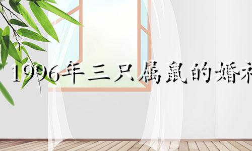 1996年三只属鼠的婚礼