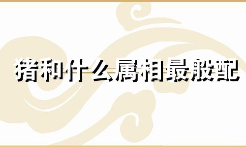 猪和什么属相最般配