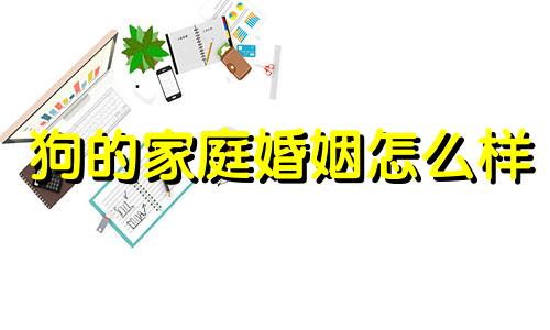 狗的家庭婚姻怎么样