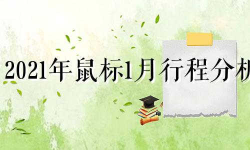 2021年鼠标1月行程分析