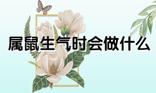 属鼠生气时会做什么