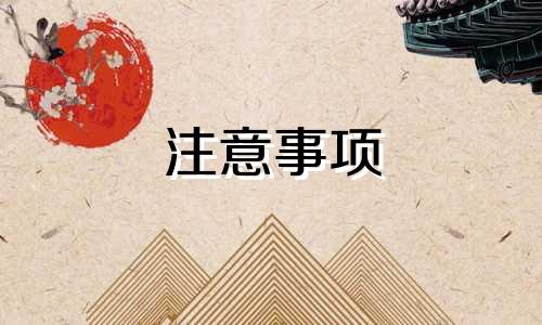 注意事项