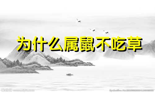 为什么属鼠不吃草