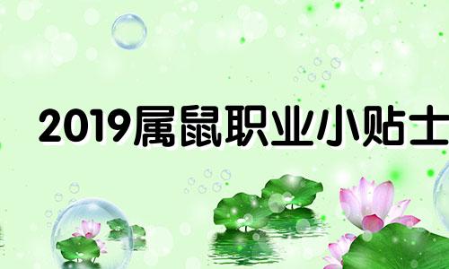 2019属鼠职业小贴士