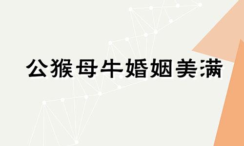 公猴母牛婚姻美满