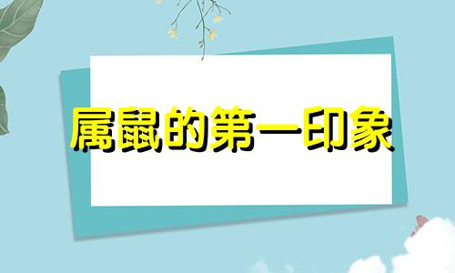 属鼠的第一印象