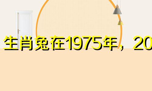 生肖兔在1975年,2023年