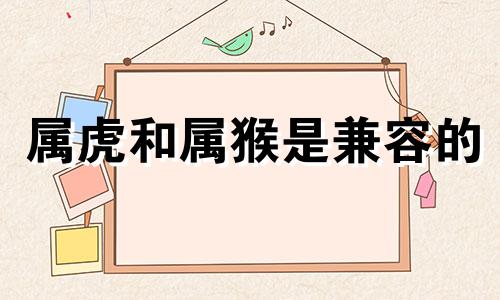 属虎和属猴是兼容的