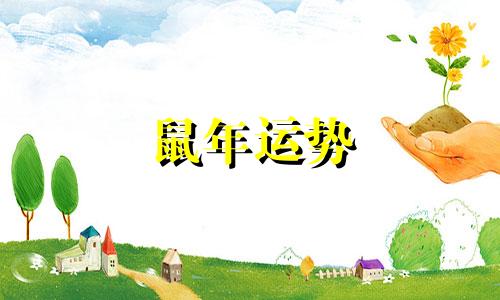 鼠年运势