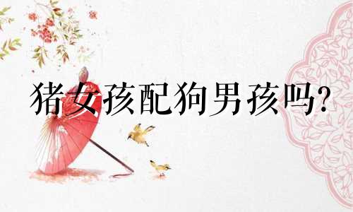 猪女孩配狗男孩吗?
