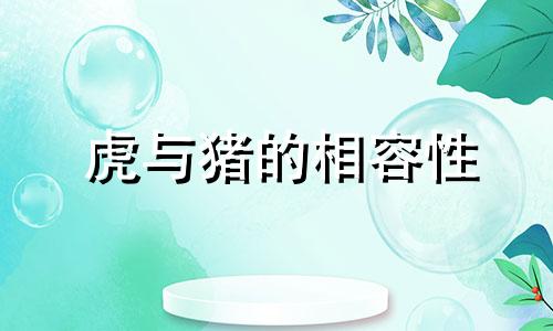 虎与猪的相容性