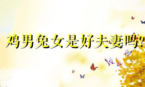 鸡男兔女是好夫妻吗?