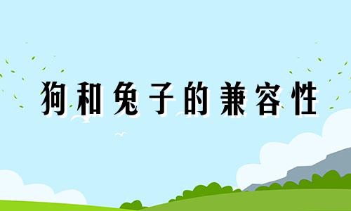 狗和兔子的兼容性