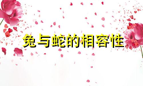 兔与蛇的相容性