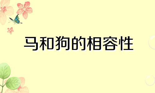 马和狗的相容性