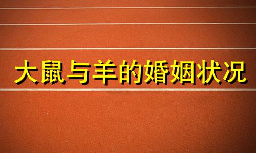 大鼠与羊的婚姻状况