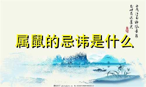 属鼠的忌讳是什么