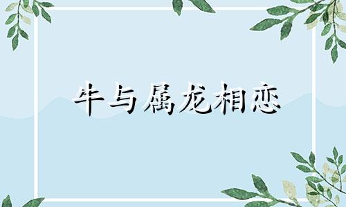 牛与属龙相恋