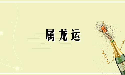 属龙运