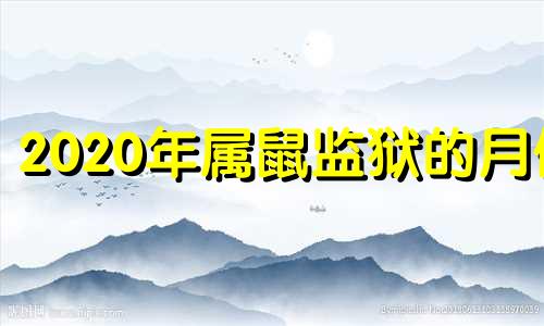2020年属鼠监狱的月份