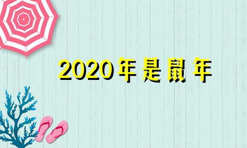 2020年是鼠年