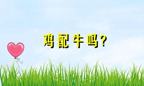 鸡配牛吗?
