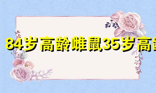 84岁高龄雌鼠35岁高龄