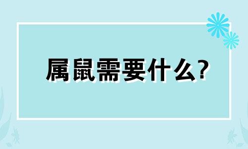 属鼠需要什么?