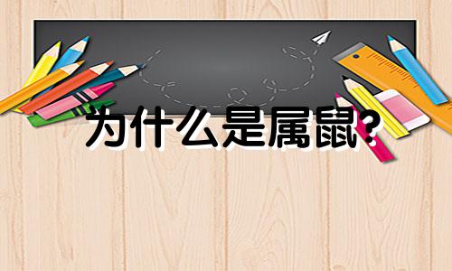 为什么是属鼠?