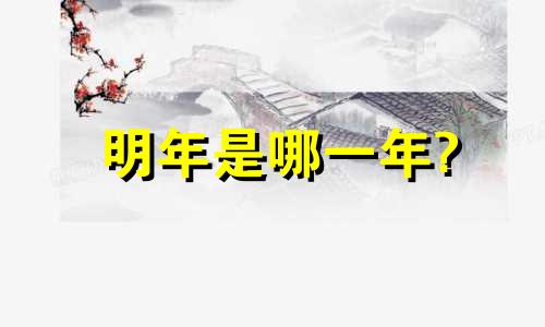 明年是哪一年?
