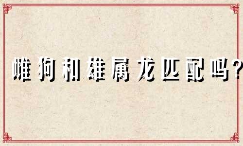 雌狗和雄属龙匹配吗?