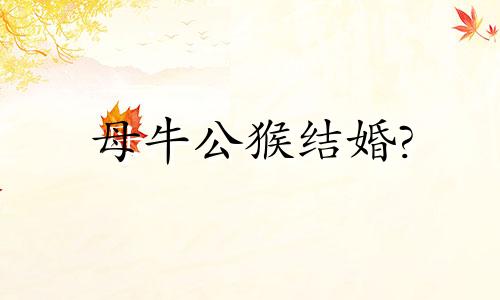 母牛公猴结婚?