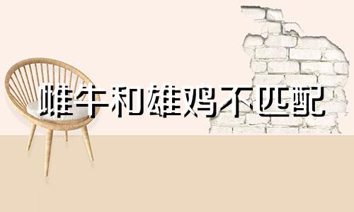 雌牛和雄鸡不匹配
