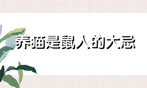 养猫是鼠人的大忌