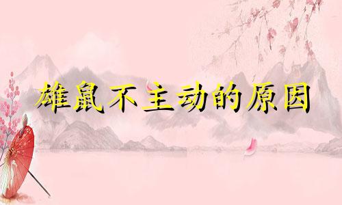 雄鼠不主动的原因
