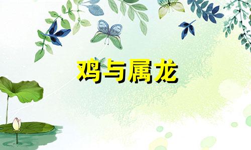 鸡与属龙