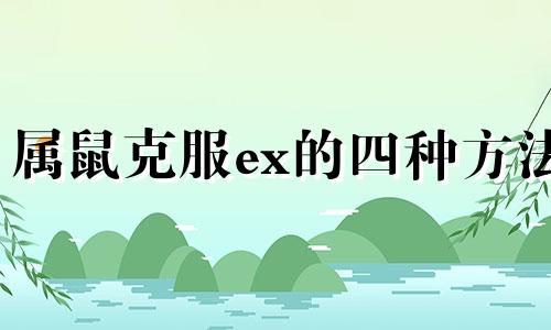 属鼠克服ex的四种方法