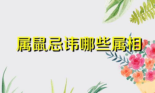 属鼠忌讳哪些属相