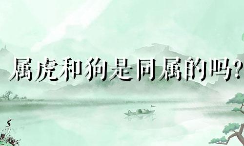 属虎和狗是同属的吗?