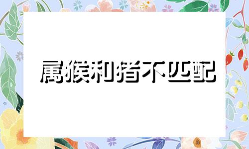 属猴和猪不匹配