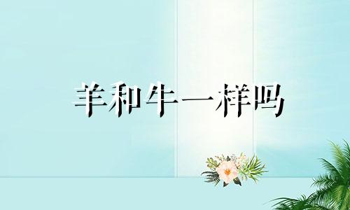 羊和牛一样吗