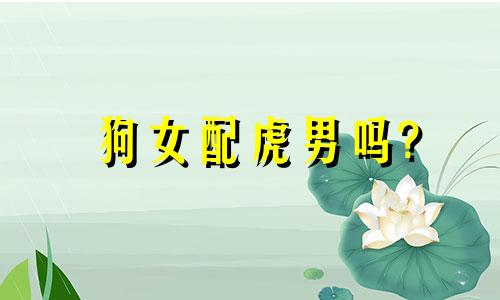 狗女配虎男吗?